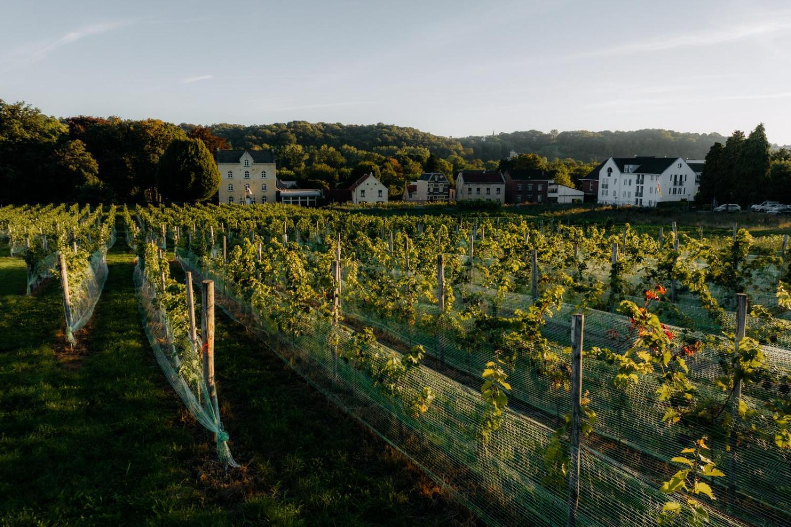 Chateau St Gerlach - Oostwegel Collection, Member Of Relais And Chateaux Hotel Valkenburg aan de Geul